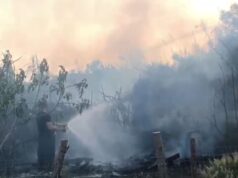 Lajmi i fundit/ Kavajë, i vë zjarrin barit të thatë, flakët rrezikojnë banesën e fqinji, autori fshihet në shtëpi pasi… (Pamje nga vendngjarja)