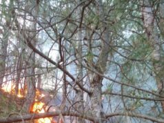 I vuri flakën barërave në tokën e tij, por digjet edhe vetë, ndërron jetë 68-vjeçari