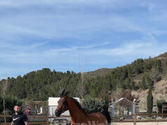 Nëna e 27-vjeçarit të vrarë me tritol e ndaluar për ushtrim prostitucioni, bashkëpunonte me dhëndrin polic