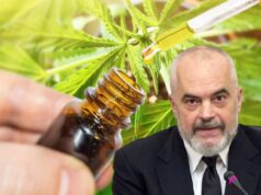 Qeveria injoron ndërkombëtarët! Gati drafti për legalizimin e kanabisit, çfarë duhet të dinë kultivuesit dhe sa është gjoba për abuzuesit