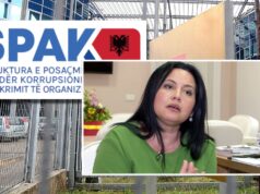 Arka me peshk e Rovena Vodës dhe “peshqit e mëdhenj” që çanë rrjetën e SPAK-ut