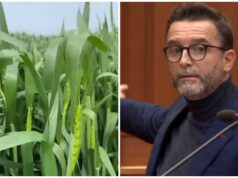 Erion Braçe kritika qeverisë: Kushtëzo importuesit, të blejnë produktin vendas!