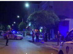 Ngjarjet e fundit kriminale, Deputeti Dashnor Sula: Vendi i Shqiponjave eshtë krhyer në vendin e Kallashit. Sapo çelëm negociatat