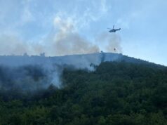 Zjarret në vend, ministri Peleshi: 6 vatra në 5 qarqe, problematike situata në Orosh