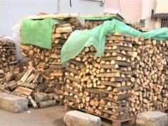 Qeveria shtrenjton çmimin e druve të zjarrit/ Gjoba për ata që ngarkojnë me gomar dhe kalë