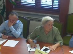 Ndryshimet në Kodin Rrugor/ Luljeta Bozo: Ligji gjithmonë vendoset me dhunë, kur të vret xhepin nuk e shkel më