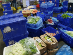 Kriza ul konsumin/ Shqiptarët po blejnë më pak, por paguan 760 milionë euro më shumë për mallra importi në janar-qershor