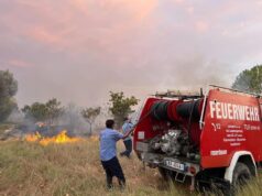 Bashkia e Kavajës bën bilancin e zjarreve të verës, 4 vatra flakësh çdo ditë
