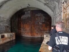 “Rama ia shiti NATO-s si bazë të sigurt”, Tedi Blushi: “Blogerët” kanë hyrë në Pashaliman