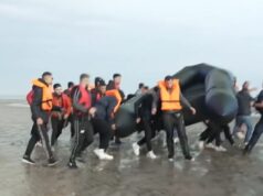 “Ec, ec se e çanë ata or ti”/ Dështon përpjekja e shqiptarëve për të ikur në Angli, policia franceze u shpon gomonen dhe i shpërndan me spray