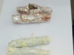 Lajmi i fundit/ Rrogozhinë, tentoi të fusë “canabis sativa” në burg, arrestohet i afërmi i të dënuarit, ja ku ishte fshehur droga