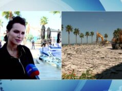 Grida Duma: Rama, tigër prej letre! As Putin se ndalon dot fjalën e lirë. Dallëndyshe Bici, kamikaze e qeverisë