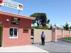 Krim në familje, 38-vjeçarja plagos me thikë vëllanë