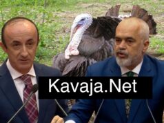 “Do dilni kastravecë nga kjo histori”, debate në Kuvend për Portin e Durrësit, Rama-Sulës: Pusho! Gjel det Peqini