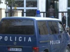 I dënuar për kultivim kanabisi, arrestohet i riu në Kavajë