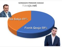 Rezultati i Plotë/ Mbyllet votimi, Fisnik Qosja fiton sondazhin online për garën e Primareve në PD