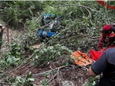 Aksident i rëndë në Itali, bie në humnerë autobusi me fëmijë!