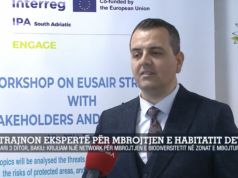 BE trajnon 20 ekspertë për mbrojtjen e biodiversitetit detar, Rigers Bakiu: Krijuam network për mbrojtjen e zonave të mbrojtura detare