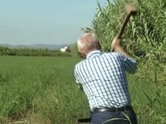 “Mobilizoni ata që jetojnë jashtë”, Meta merr varenë kundër TEC-it në Roskovec: Rrëmbeni armët. Mua këtu më keni me kallash në dorë