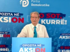 A do të kandidojë Argita për deputete në 2025? Flet Sali Berisha